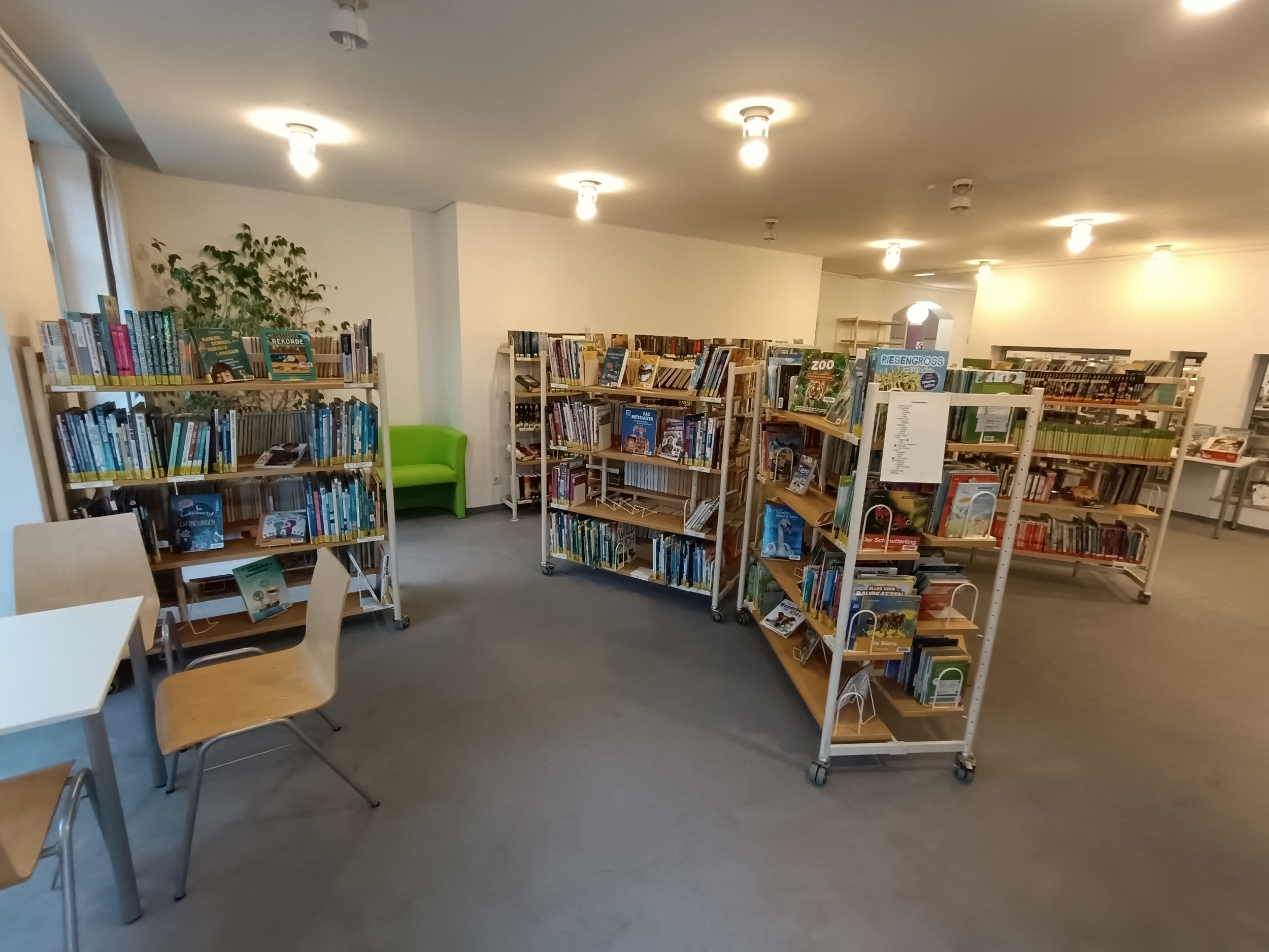 Eine Bücherei von innen mit vielen Bücherregalen