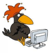 Rabe vor einem PC Bildschirm